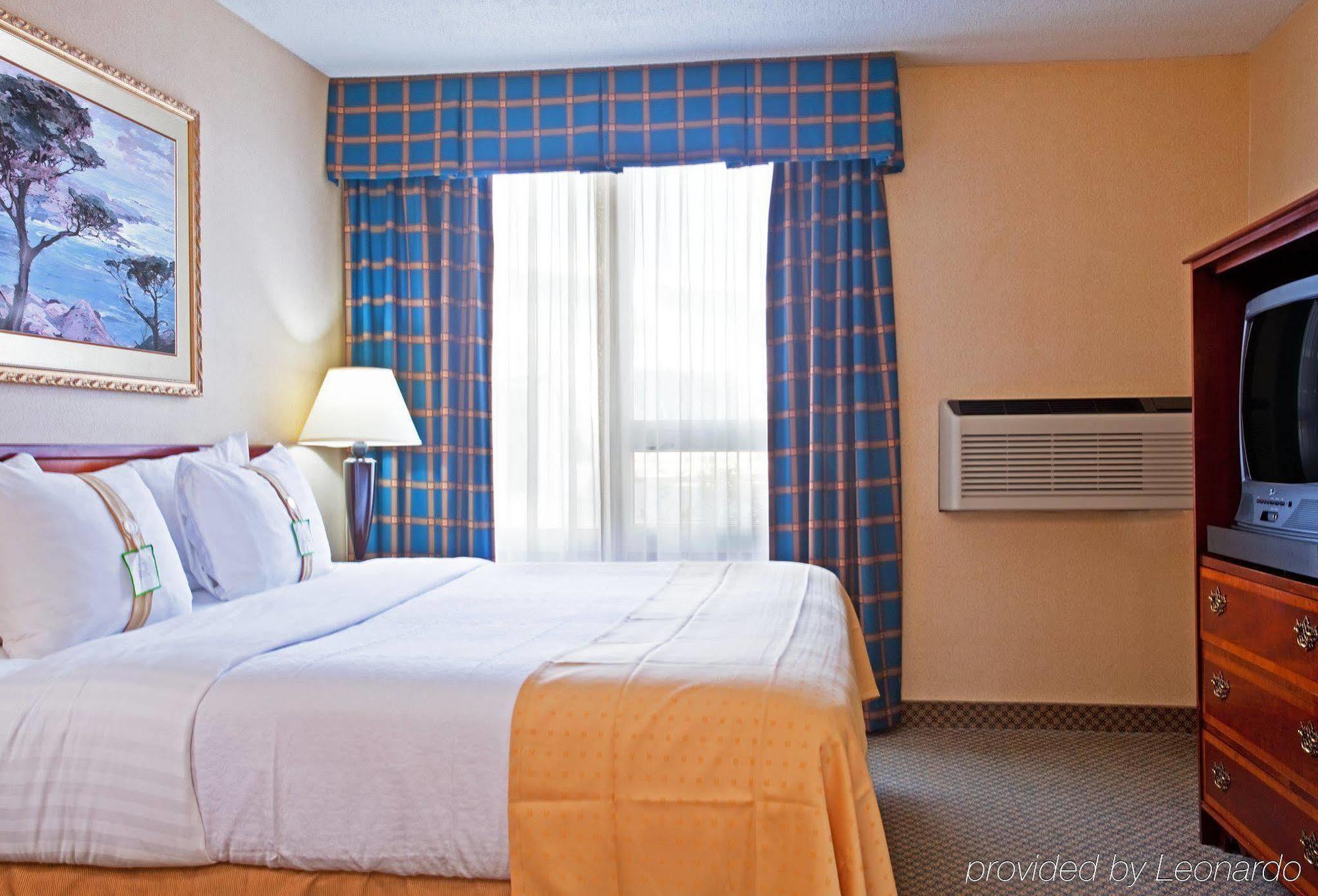 Holiday Inn Chicago - Elk Grove, An Ihg Hotel Elk Grove Village Rom bilde